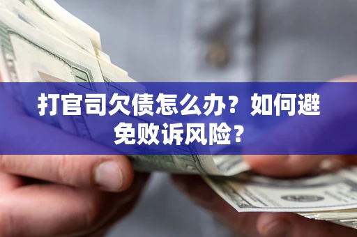 北京打官司欠债怎么办？如何避免败诉风险？