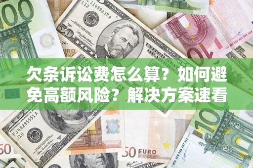 北京欠条诉讼费怎么算？如何避免高额风险？解决方案速看！