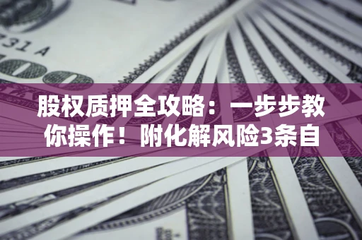 北京股权质押全攻略：一步步教你操作！附化解风险3条自救法则