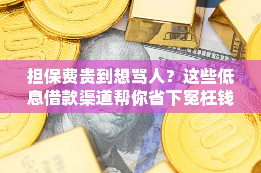 北京担保费贵到想骂人？这些低息借款渠道帮你省下冤枉钱