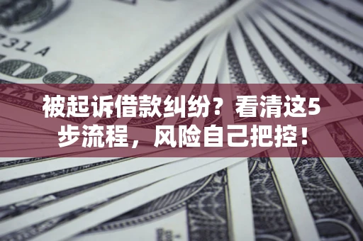 北京被起诉借款纠纷？看清这5步流程，风险自己把控！